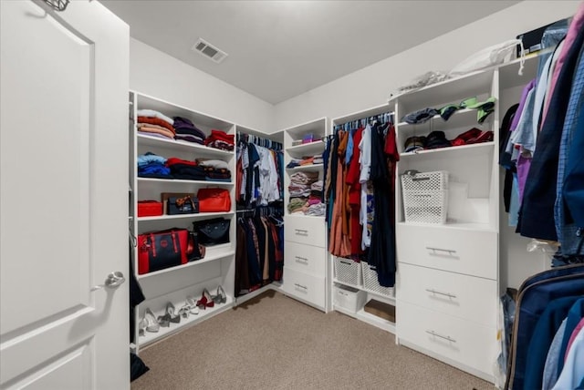3086 Frazier Walk, Decatur, GA 30033 - walk in closet with carpet floors