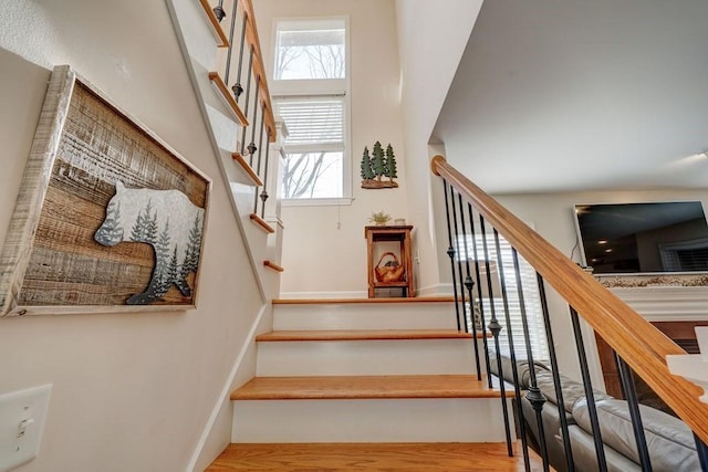 staircase with hardwood / wood-style flooring