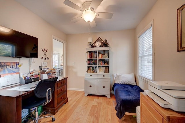 office space featuring light hardwood / wood-style floors and ceiling fan