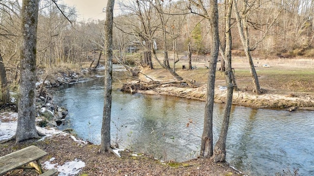 property view of water