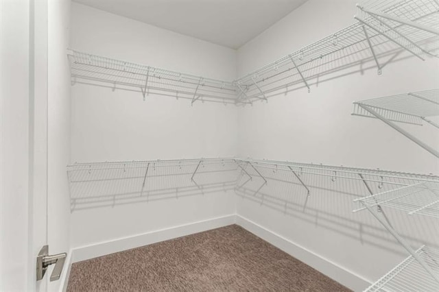 spacious closet with dark carpet