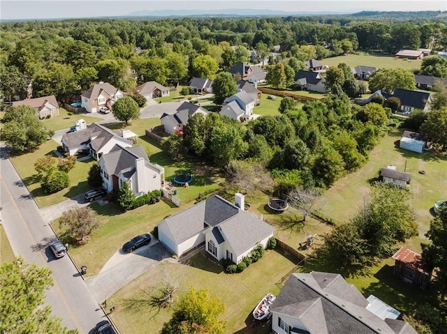 bird's eye view