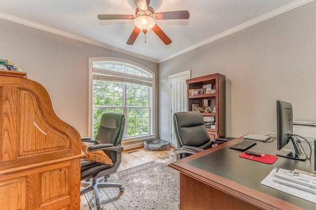 27 Bluff Mountain Dr SW, Rome, GA 30165 - office space with light wood finished floors, crown molding, and a ceiling fan