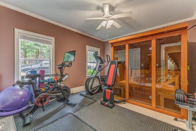 27 Bluff Mountain Dr SW, Rome, GA 30165 - exercise area with ornamental molding, plenty of natural light, ceiling fan, baseboards, and carpet
