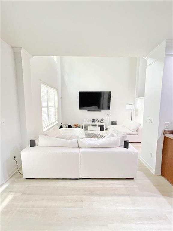 3130 Haynes Park Dr, Lithonia, GA 30038 - living room featuring light wood-style floors and baseboards