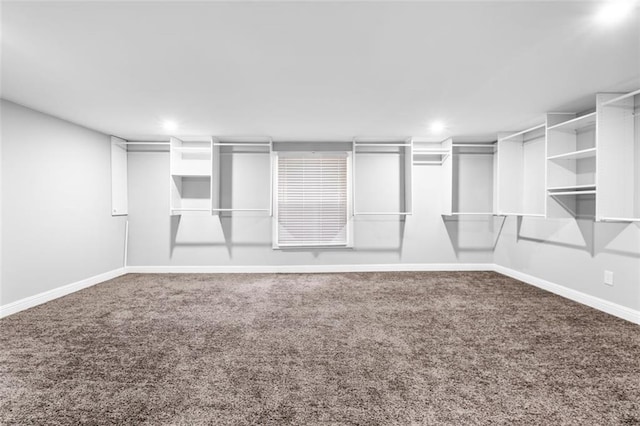 walk in closet featuring carpet floors