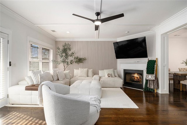 living room featuring dark wood-type flooring, ceiling fan, and ornamental molding