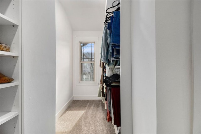 spacious closet with light carpet