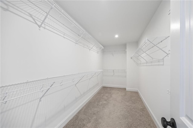 spacious closet with carpet flooring