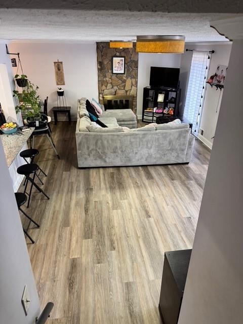 living room featuring wood-type flooring