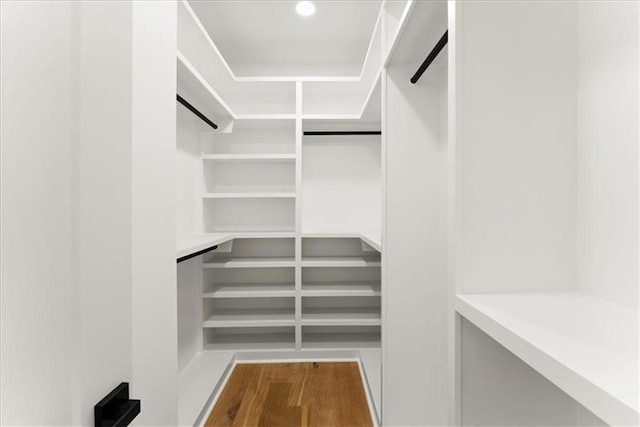 walk in closet featuring wood-type flooring