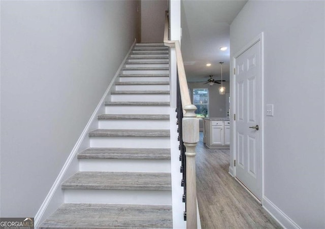 staircase featuring ceiling fan and hardwood / wood-style flooring