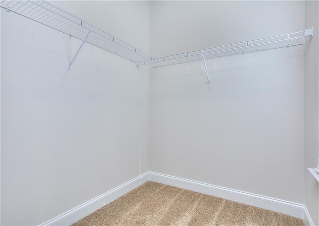 spacious closet with carpet