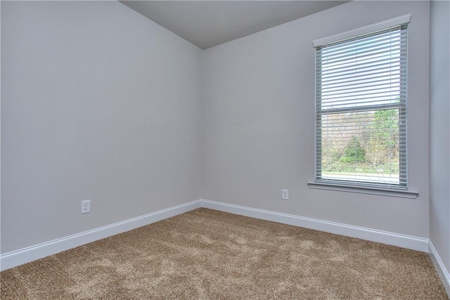 spare room with carpet flooring