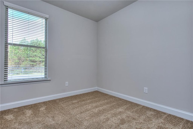 unfurnished room with carpet floors