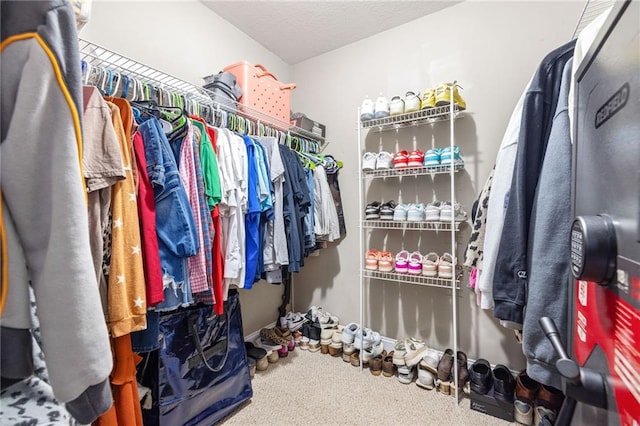 253 Grindstone Creek Dr, Clarkesville, GA 30523 - walk in closet with carpet floors