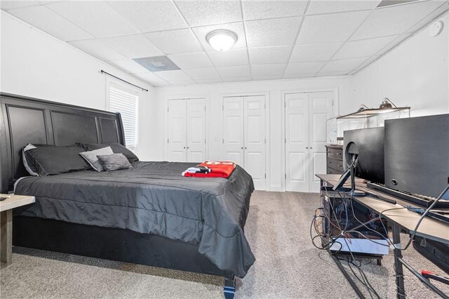 253 Grindstone Creek Dr, Clarkesville, GA 30523 - carpeted bedroom with multiple closets and a drop ceiling