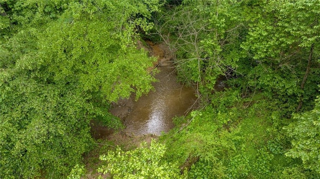 253 Grindstone Creek Dr, Clarkesville, GA 30523 - water view