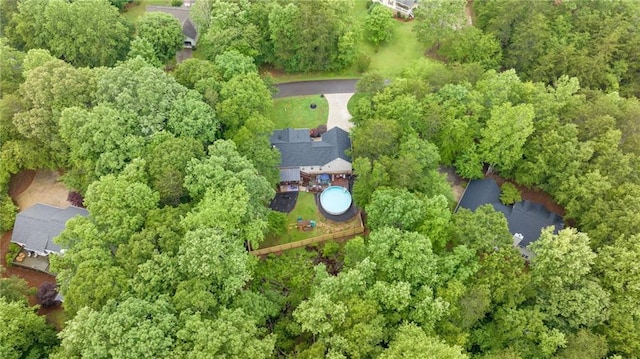 253 Grindstone Creek Dr, Clarkesville, GA 30523 - bird's eye view