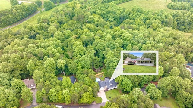 253 Grindstone Creek Dr, Clarkesville, GA 30523 - bird's eye view of a heavily wooded area