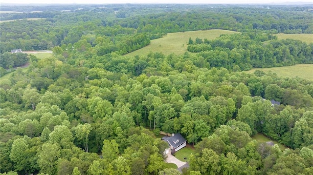 253 Grindstone Creek Dr, Clarkesville, GA 30523 - view of property location with a forest