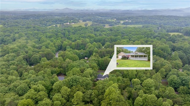 253 Grindstone Creek Dr, Clarkesville, GA 30523 - aerial view of property's location featuring a forest, property parcel outlined, and a mountainous background