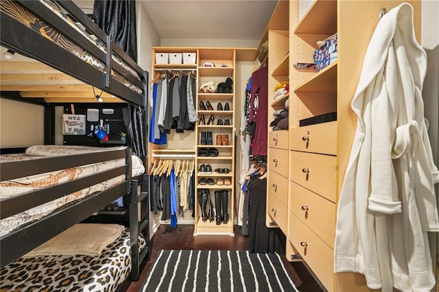 spacious closet with dark wood-style floors