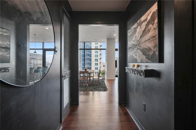 hallway with floor to ceiling windows, dark wood-type flooring, and a healthy amount of sunlight