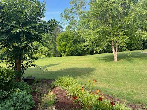 2057 High Shoals Rd, Dallas, GA 30132 - view of green lawn