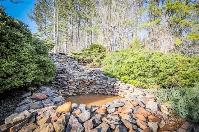 2057 High Shoals Rd, Dallas, GA 30132 - view of yard featuring a view of trees