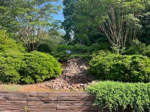 2057 High Shoals Rd, Dallas, GA 30132 - view of yard
