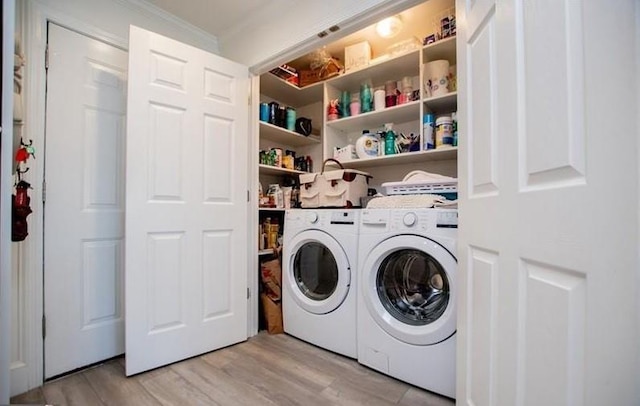 laundry area with crown molding, independent washer and dryer, and light wood-type flooring