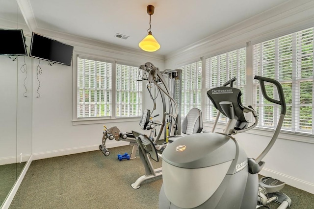 exercise area featuring ornamental molding, carpet, and a healthy amount of sunlight