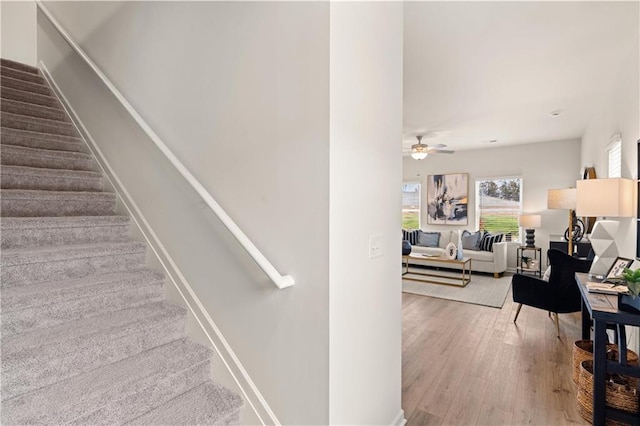 staircase with hardwood / wood-style floors and ceiling fan