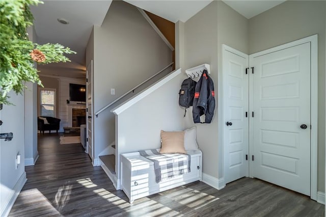 mudroom featuring dark wood-type flooring