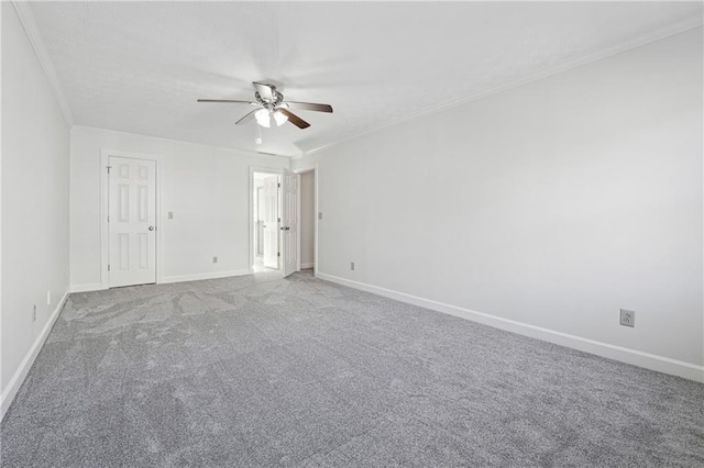 spacious closet featuring carpet flooring