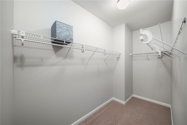 spacious closet with carpet floors