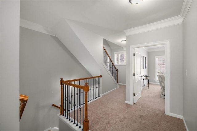 interior space with ornamental molding, carpet, and baseboards