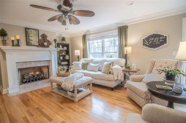 3 Westridge Pl, Rome, GA 30165 - living room with a fireplace, light hardwood / wood-style flooring, and ornamental molding