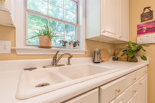 room details with sink and white cabinets