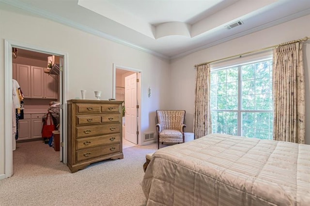 bedroom with crown molding, a walk in closet, light carpet, a tray ceiling, and a closet