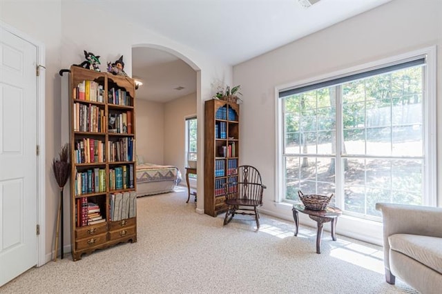 sitting room with light colored carpet