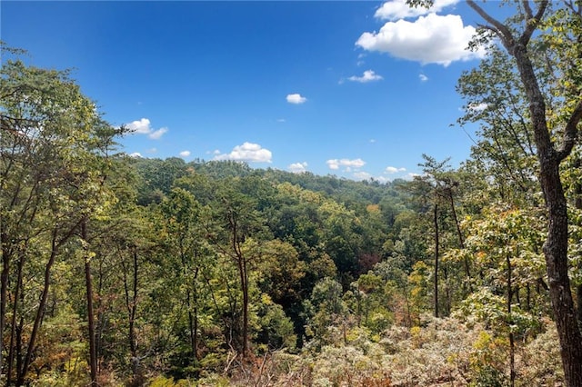 view of landscape