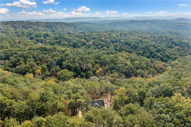 aerial view with a mountain view