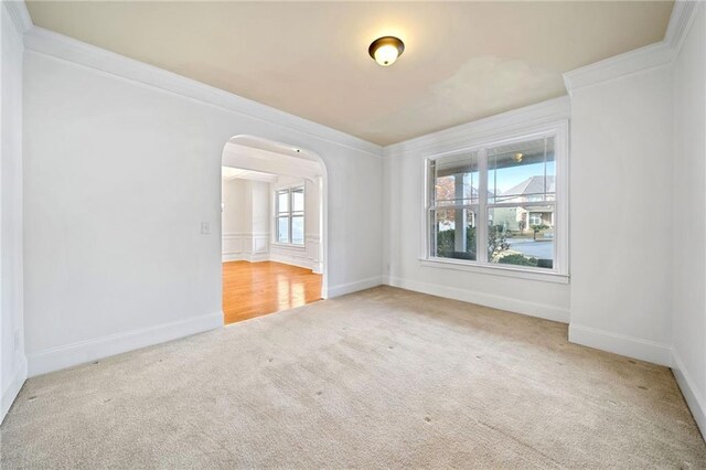 empty room featuring carpet floors and ornamental molding