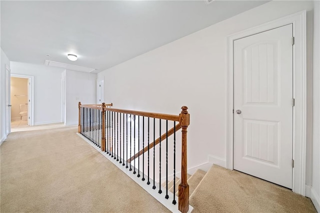 hallway with light carpet