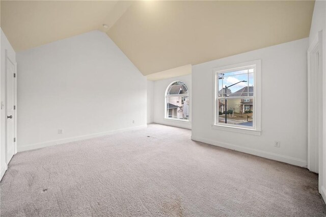 interior space featuring carpet and high vaulted ceiling