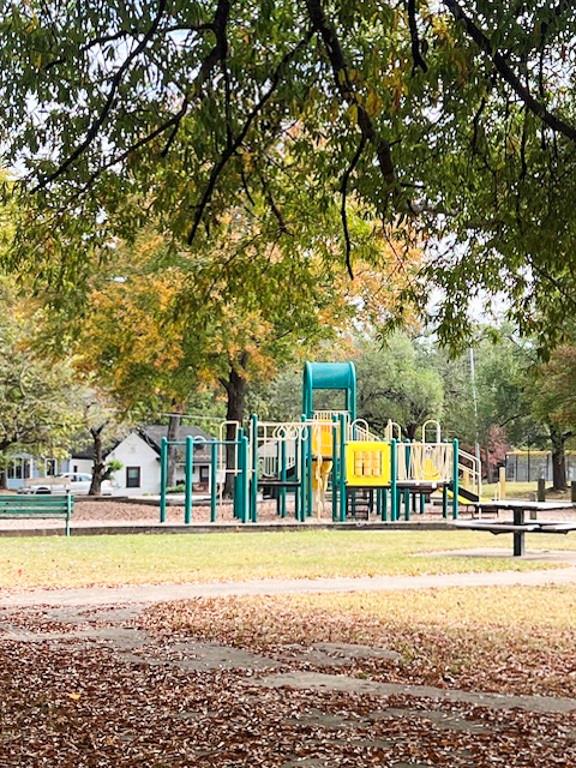 view of jungle gym