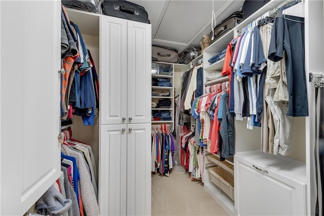 3733 Chattahoochee Summit Dr SE Unit 7, Atlanta, GA 30339 - walk in closet with light carpet
