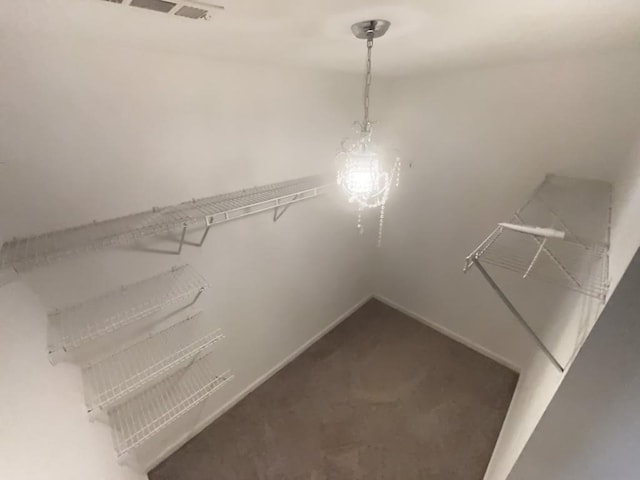 spacious closet featuring carpet flooring